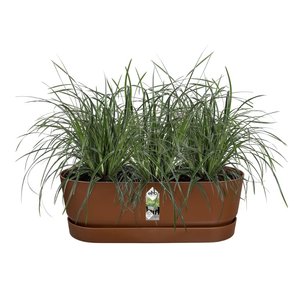 Elho Plantenbak Greenville Easy Balcony 52cm bruin - afbeelding 2