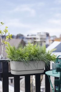 Elho Plantenbak Greenville Easy Balcony 52cm grijs - afbeelding 5
