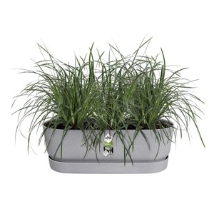 Elho Plantenbak Greenville Easy Balcony 52cm grijs - afbeelding 2