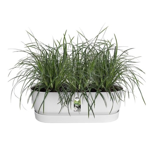 Elho Plantenbak Greenville Easy Balcony 52cm wit - afbeelding 2