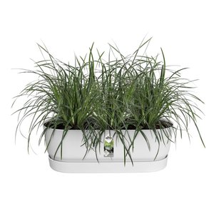 Elho Plantenbak Greenville Easy Balcony 52cm wit - afbeelding 2