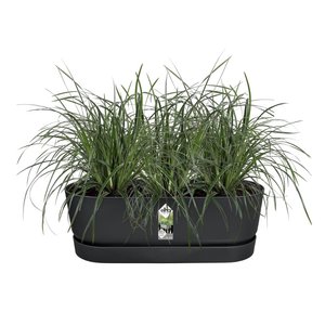 Elho Plantenbak Greenville Easy Balcony 52cm zwart - afbeelding 2