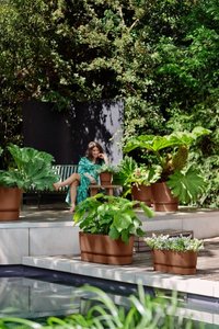 Elho Plantenbak Greenville Terrace Trough 60cm wielen bruin - afbeelding 3