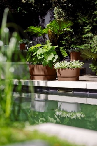 Elho Plantenbak Greenville Terrace Trough 60cm wielen bruin - afbeelding 4