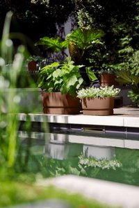 Elho Plantenbak Greenville Terrace Trough 60cm wielen bruin - afbeelding 4