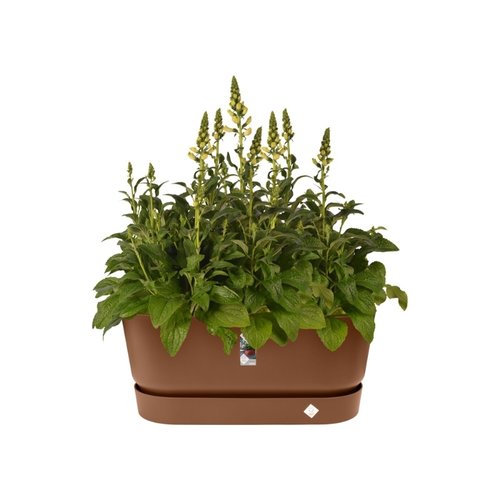 Elho Plantenbak Greenville Terrace Trough 80cm wielen bruin - afbeelding 2