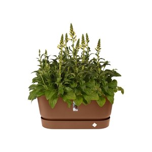 Elho Plantenbak Greenville Terrace Trough 80cm wielen bruin - afbeelding 2