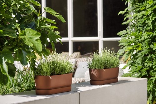 Elho Plantenbak Greenville Trough Long 50cm bruin - afbeelding 5