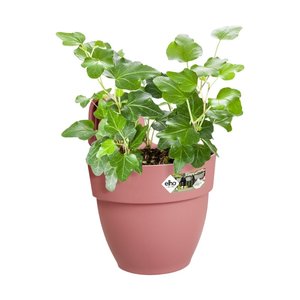 Elho Plantenbak Vibia Campana Easy Hanger Small roze - afbeelding 2