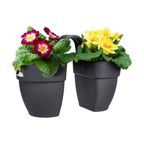 Elho Plantenbak Vibia Campana Flower Twin 21cm grijs - afbeelding 3