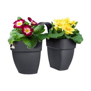 Elho Plantenbak Vibia Campana Flower Twin 21cm grijs - afbeelding 3