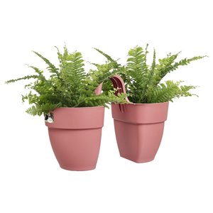 Elho Plantenbak Vibia Campana Flower Twin 21cm roze - afbeelding 3