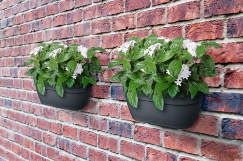 Elho Plantenbak Vibia Campana Wall Basket 35cm grijs - afbeelding 4