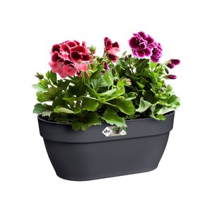 Elho Plantenbak Vibia Campana Wall Basket 35cm grijs - afbeelding 2