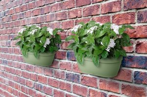 Elho Plantenbak Vibia Campana Wall Basket 35cm groen - afbeelding 4