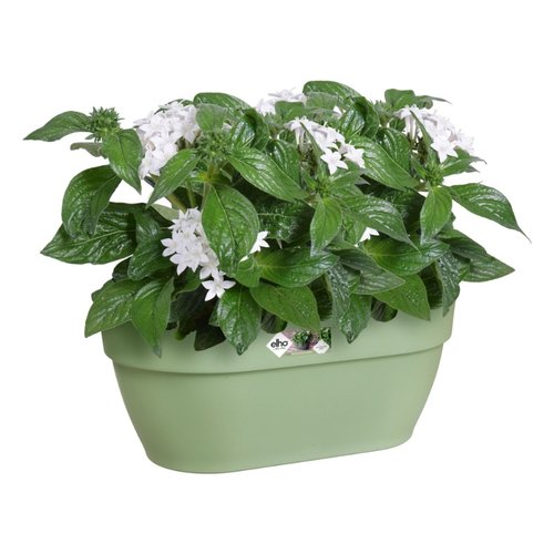 Elho Plantenbak Vibia Campana Wall Basket 35cm groen - afbeelding 3