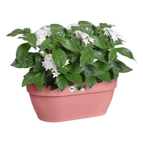 Elho Plantenbak Vibia Campana Wall Basket 35cm roze - afbeelding 2