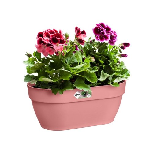 Elho Plantenbak Vibia Campana Wall Basket 35cm roze - afbeelding 3