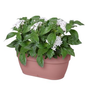 Elho Plantenbak Vibia Campana Wall Basket 35cm roze - afbeelding 4