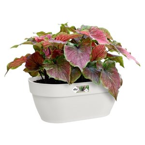 Elho Plantenbak Vibia Campana Wall Basket 35cm wit - afbeelding 2