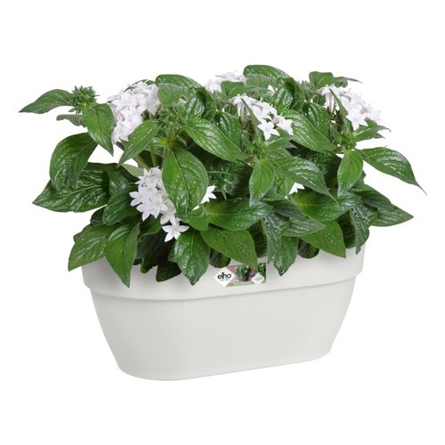 Elho Plantenbak Vibia Campana Wall Basket 35cm wit - afbeelding 3