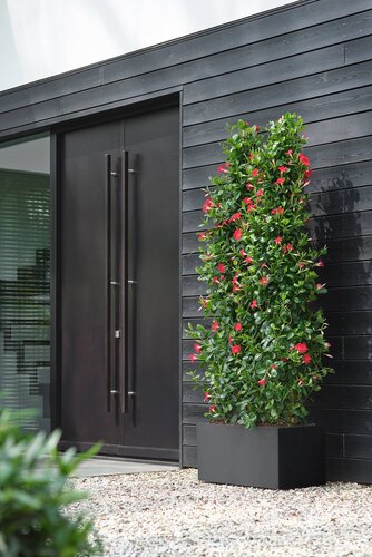 Elho Plantenbak Vivo Next Lang - 80Cm Zwart - afbeelding 3