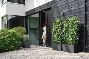 Elho Plantenbak Vivo Next Vierkant - 40Cm Zwart - afbeelding 3