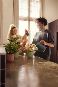 Elho Plantenspuit Vibes Fold - 0,37 liter Antraciet - afbeelding 4