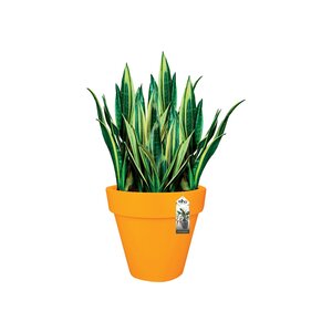 Elho pure round 60 - afbeelding 2