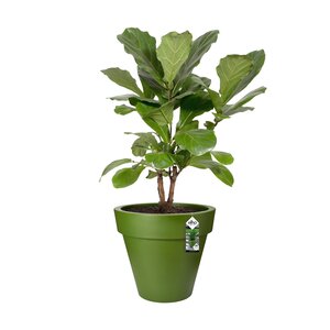 Elho pure round grass 40cm - afbeelding 2