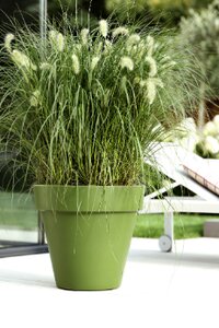 Elho pure round grass 40cm - afbeelding 5