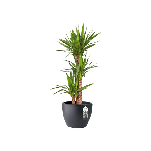 Elho pure soft round 30 - afbeelding 2