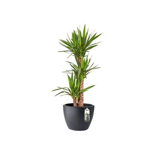 Elho pure soft round 30 - afbeelding 2