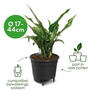 Elho self-watering insert 24cm living black - afbeelding 3
