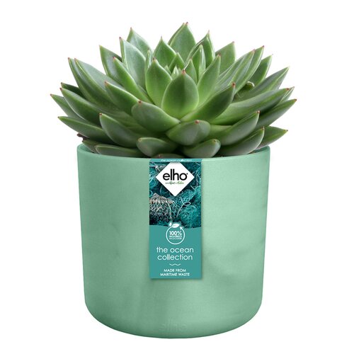 Elho the ocean collection round 14cm pacifisch groen - afbeelding 2
