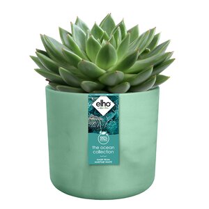 Elho the ocean collection round 14cm pacifisch groen - afbeelding 2
