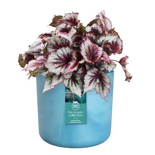 Elho the ocean collection round 22cm atlantisch blauw - afbeelding 2