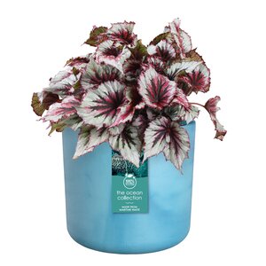 Elho the ocean collection round 22cm atlantisch blauw - afbeelding 2