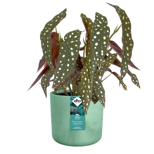 Elho the ocean collection round 22cm pacifisch groen - afbeelding 2