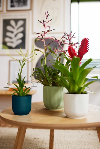 Elho vibes fold rond 14cm - afbeelding 7