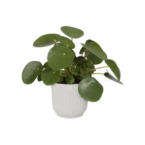 Elho vibes fold rond 14cm - afbeelding 2