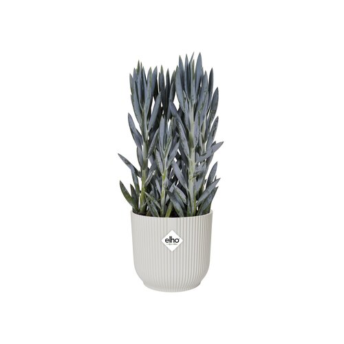 Elho vibes fold rond 14cm - afbeelding 3