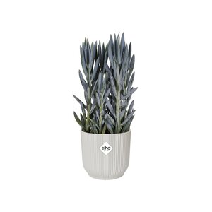 Elho vibes fold rond 14cm - afbeelding 3