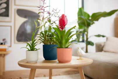 Elho vibes fold rond 14cm - afbeelding 6