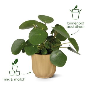 Elho vibes fold rond 14cm sorbet groen - afbeelding 3