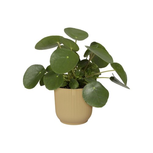 Elho vibes fold rond 22cm - afbeelding 2