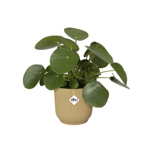 Elho vibes fold rond 22cm - afbeelding 3