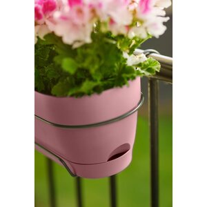 Elho Vibia Campana Balkonbak Allin1 70 cm Roze - afbeelding 7