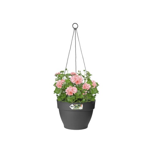 Elho vibia campana hangschaal 26cm - afbeelding 2