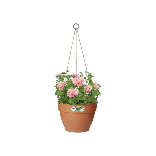 Elho vibia campana hangschaal 26cm - afbeelding 2